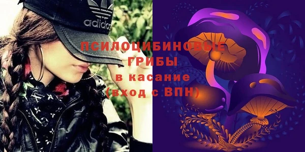 прущая мука Козловка