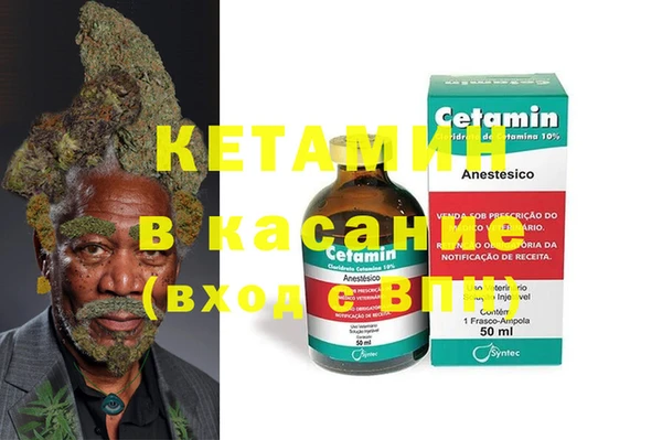 крисы Коряжма