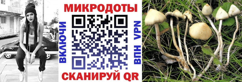 Купить закладки  Прокопьевск  Псилоцибиновые грибы Cubensis 